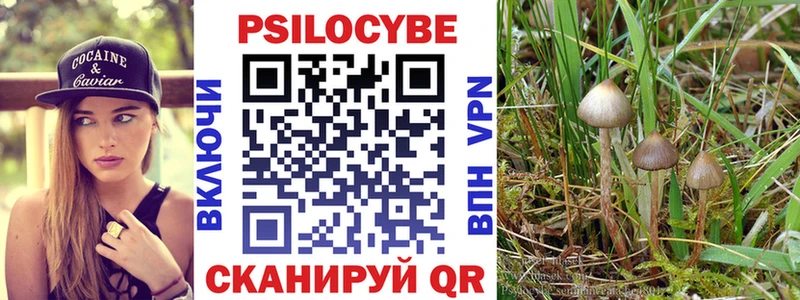 Купить закладки  Удомля  Псилоцибиновые грибы Cubensis 